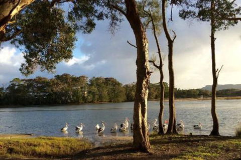 Lakehouse On Oxley - Accommodation Gold Coast 2