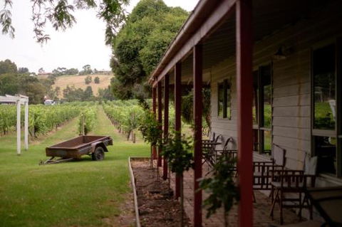 Fergusson Winery Homestead Accomodation - Accommodation Gold Coast 2
