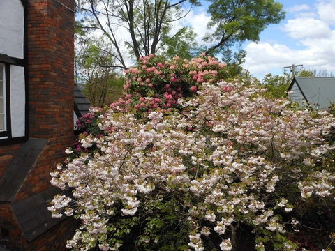 Merrimeet Cottages - 1 Gold Coast 0