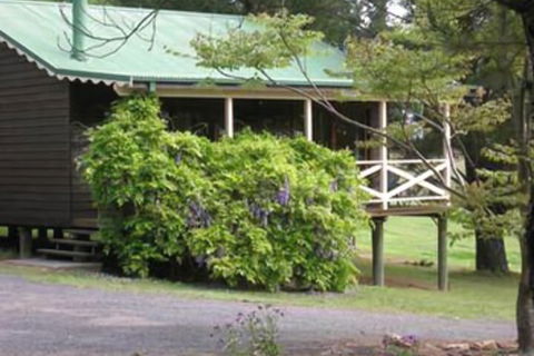 Madison's Mountain Retreat - Gold Coast 4U 1