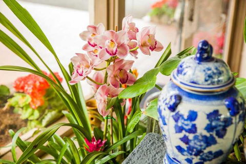 Kempsey Rose Motor Inn - 1 Gold Coast 7