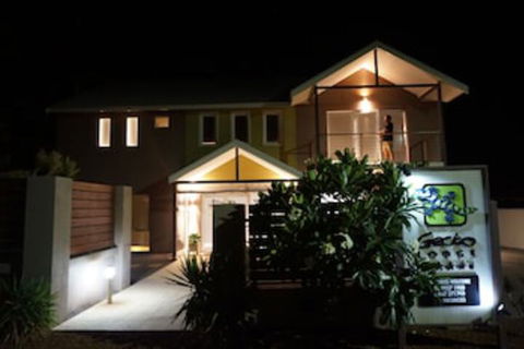 Gecko Lodge - Accommodation Gold Coast 0