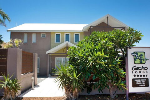 Gecko Lodge - Accommodation Gold Coast 2