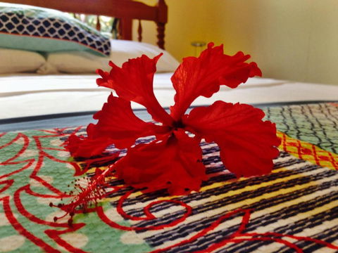 Cow Bay Homestay B & B - Gold Coast 4U 5