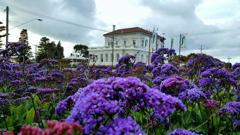 Georgia - Accommodation Gold Coast 3