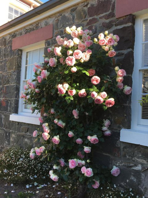 Georgia - Accommodation Gold Coast 6