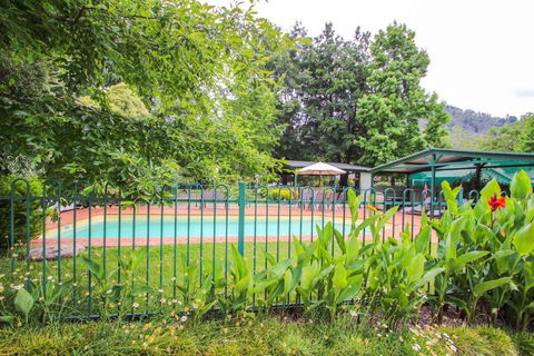 Silver Birches Holiday Unit 10 - Accommodation Gold Coast 1
