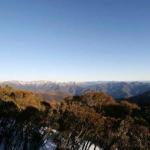 Elkhorn 7 - Accommodation Gold Coast 0