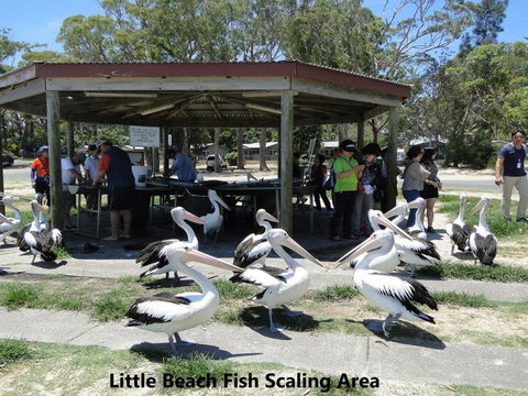 10 Intrepid 3 Intrepid Close Water Views Over Shoal Bay Beach - Accommodation Gold Coast 2