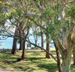 32 Bay Parklands 2 Gowrie Avenue fantastic unit with air conditioning pool tennis court  spa - Accommodation Gold Coast