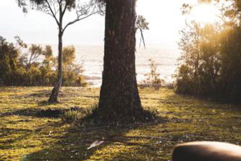 Seagrass On Sunset Bay - Accommodation Gold Coast 1