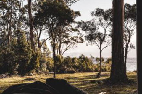 Seagrass On Sunset Bay - Accommodation Gold Coast 2