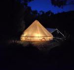 Glamping at Zeehan Bush Camp - Accommodation Gold Coast
