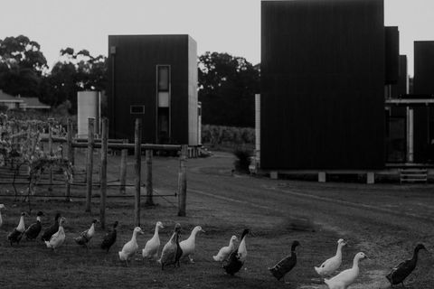 Barn Hives Yallingup - Gold Coast 4U 1