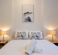 Dingo at White Gum Lodge - Accommodation Gold Coast