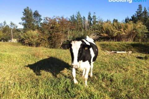 Old Schoolmasters Cottage On The Barrington River - 1 Gold Coast 1