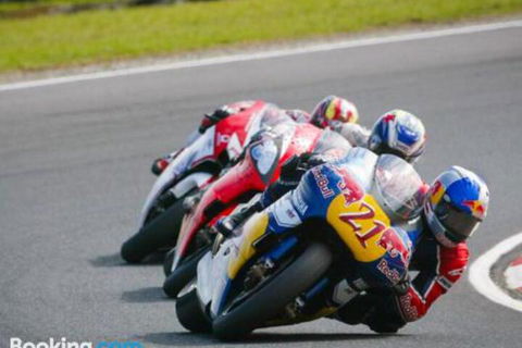 Lantana - Accommodation Gold Coast 5