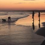 Cromarty Cottage 900m From Birubi Beach - 1 Gold Coast 0