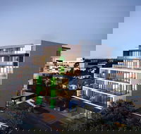 Poplar Apartments - Accommodation Gold Coast