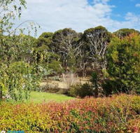 The Old Picnic Ground at Ironstone B  B - Accommodation Gold Coast