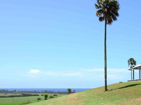 ROSE VALLEY Gerringong 4pm Check Out Sundays - Accommodation Gold Coast 0