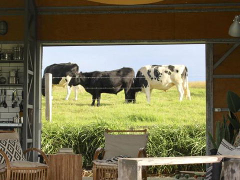 THE SHED Gerroa 4pm Checkout On Sundays & Public Holidays - Accommodation Gold Coast 6