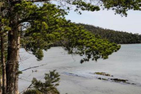 Rockpool Cottage - Accommodation Gold Coast 4