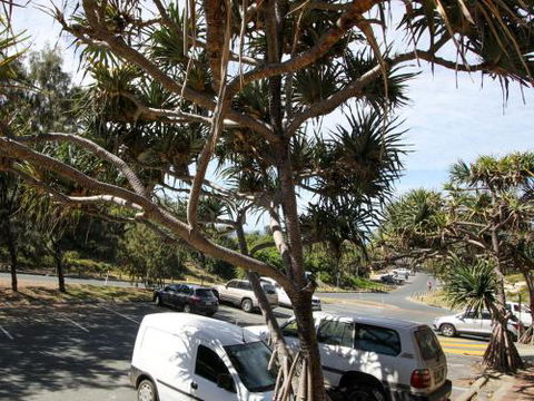 Studio 9 - Accommodation Gold Coast 6
