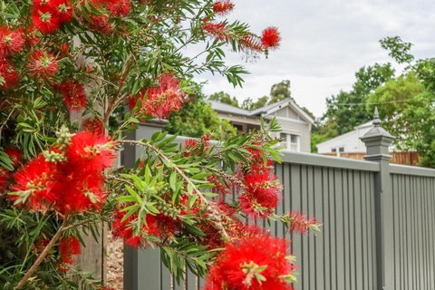Vintage Charm On St. Leonards - 1 Gold Coast 5