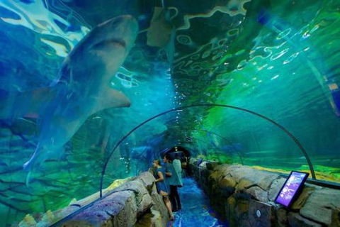 A Modern & Cozy Studio Next To Darling Harbour - Accommodation Gold Coast 6