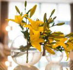 KUI Manhattan Apartments - Gold Coast 4U