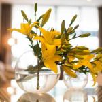 KUI Manhattan Apartments - Accommodation Gold Coast 0