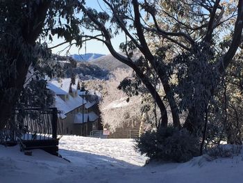Gran Sasso 3 - Accommodation Gold Coast 3