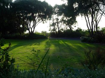 Oceanside Retreat Busselton - Gold Coast 4U 2