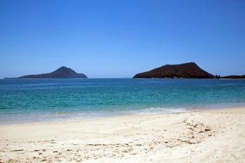 Radburn Unit 2 17 Ondine Close - Accommodation Gold Coast 4