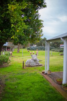 Davidsons Cottage - Accommodation Gold Coast 5