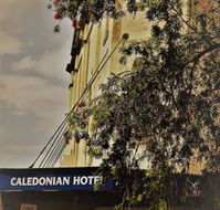 Caledonian Hotel - Gold Coast 4U