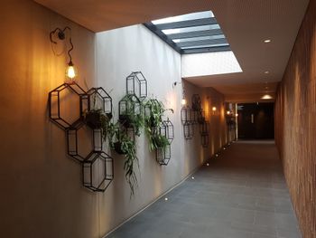 Richmond Lifestyle Apartment - Accommodation Gold Coast 2