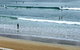 Alices Palace 2 Minute Walk To Lifeguard Patrolled Surf Beach - thumb 2