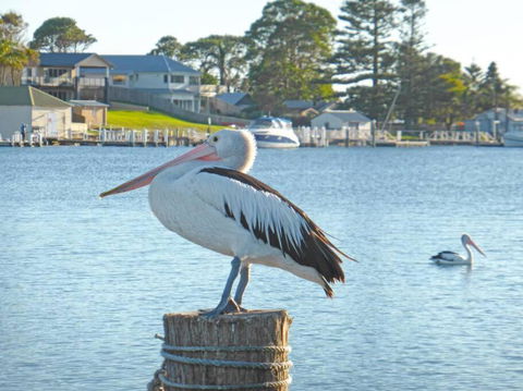 HAIS18G Riverside Delight - Accommodation Gold Coast 4