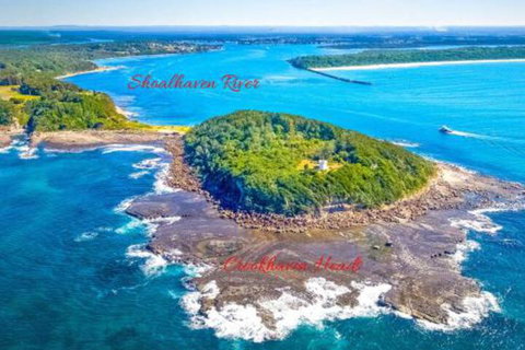 Dolphins Delight At Culburra Beach - 1 Gold Coast 4