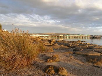 Port Lincoln Holiday Houses - Accommodation Gold Coast 4
