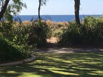 On The Shores Of Geographe Bay - Accommodation Gold Coast 5