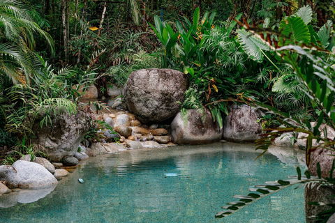 Silky Oaks Lodge - Accommodation Gold Coast 1