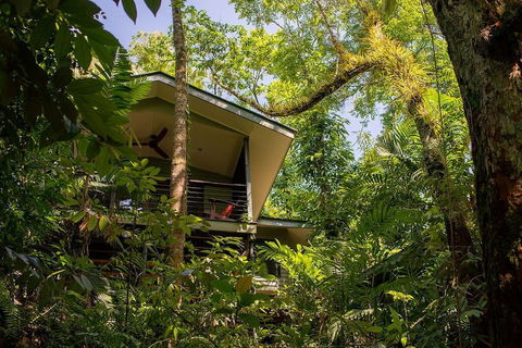 Silky Oaks Lodge - Accommodation Gold Coast 3