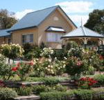 Willows Motel - Accommodation Gold Coast