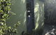 Serenity On Magnetic - thumb 4