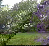 Petersons Armidale Winery  Guesthouse - Accommodation Gold Coast