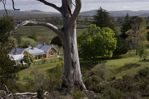 Brockley Estate - Accommodation Gold Coast 6