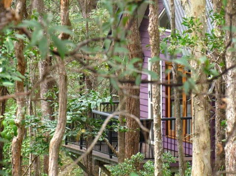 Amytis Gardens Retreat & Day Spa - Gold Coast 4U 1